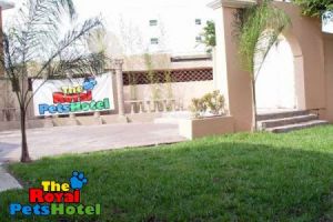 hoteles perros monterrey The Royal PetsHotel