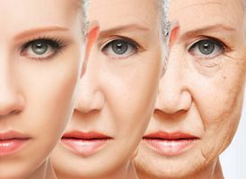 specialised physicians haematology haemotherapy monterrey Medical Tourism