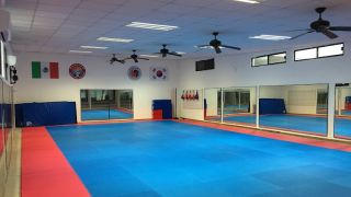 clases hapkido monterrey Hapkido San Pedro