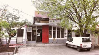 veterinario barato monterrey ANIMAL'S VETERINARIA