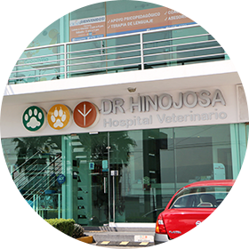 clinicas veterinarias 24 horas monterrey Dr. Hinojosa Hospital Veterinario