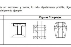 escuelas ninos autismo monterrey Centro Ocupacional Logros, A.C.